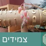 braclet.jpg